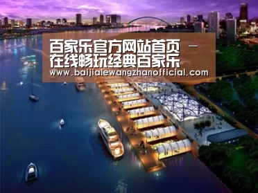 案例展示八