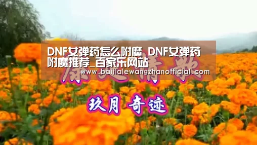 DNF女弹药怎么附魔 DNF女弹药附魔推荐_百家乐网站(图3) 澳门百家乐